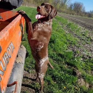 Meet your Posher, Brian